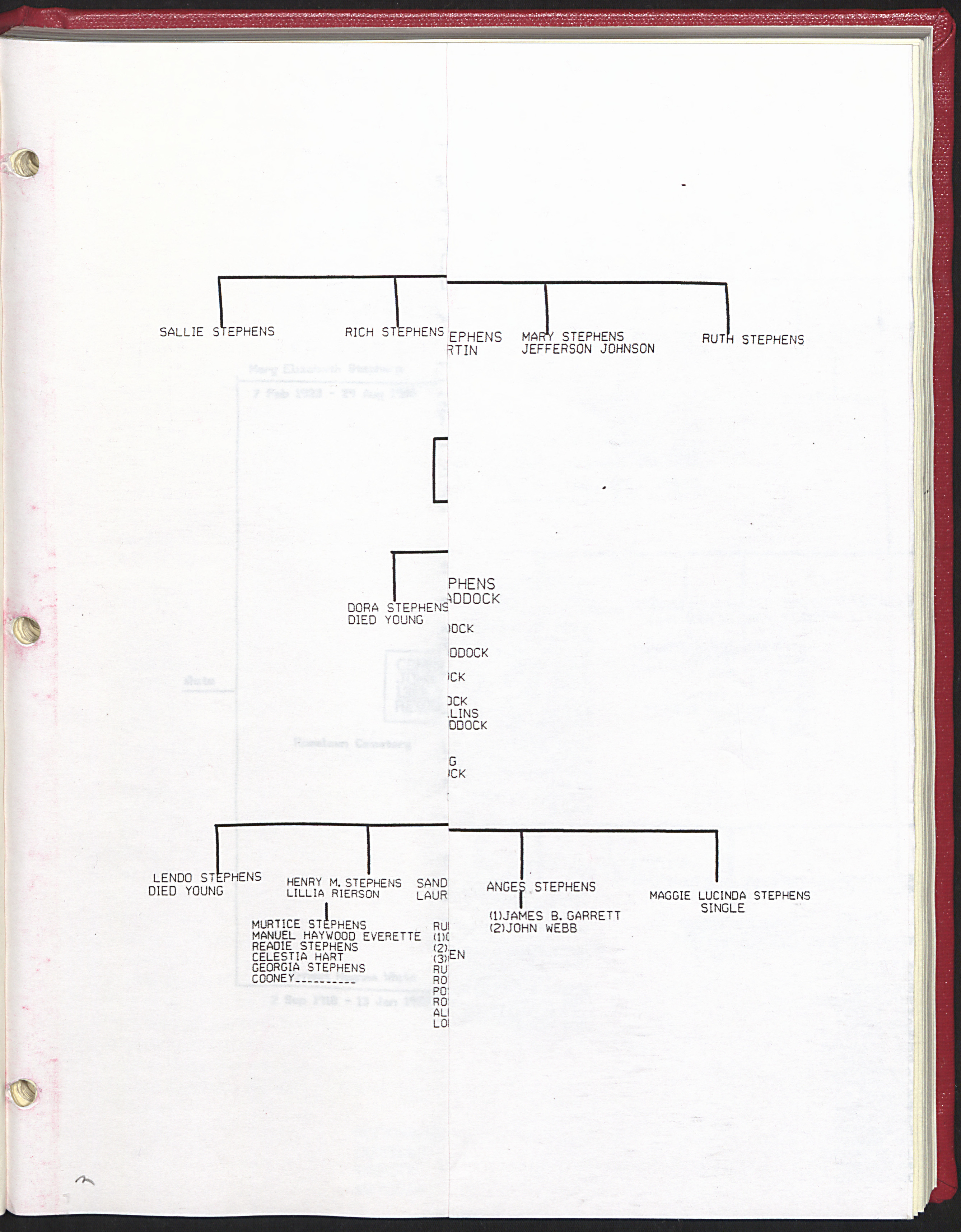 Lewis Stephens of Patrick County, Virginia