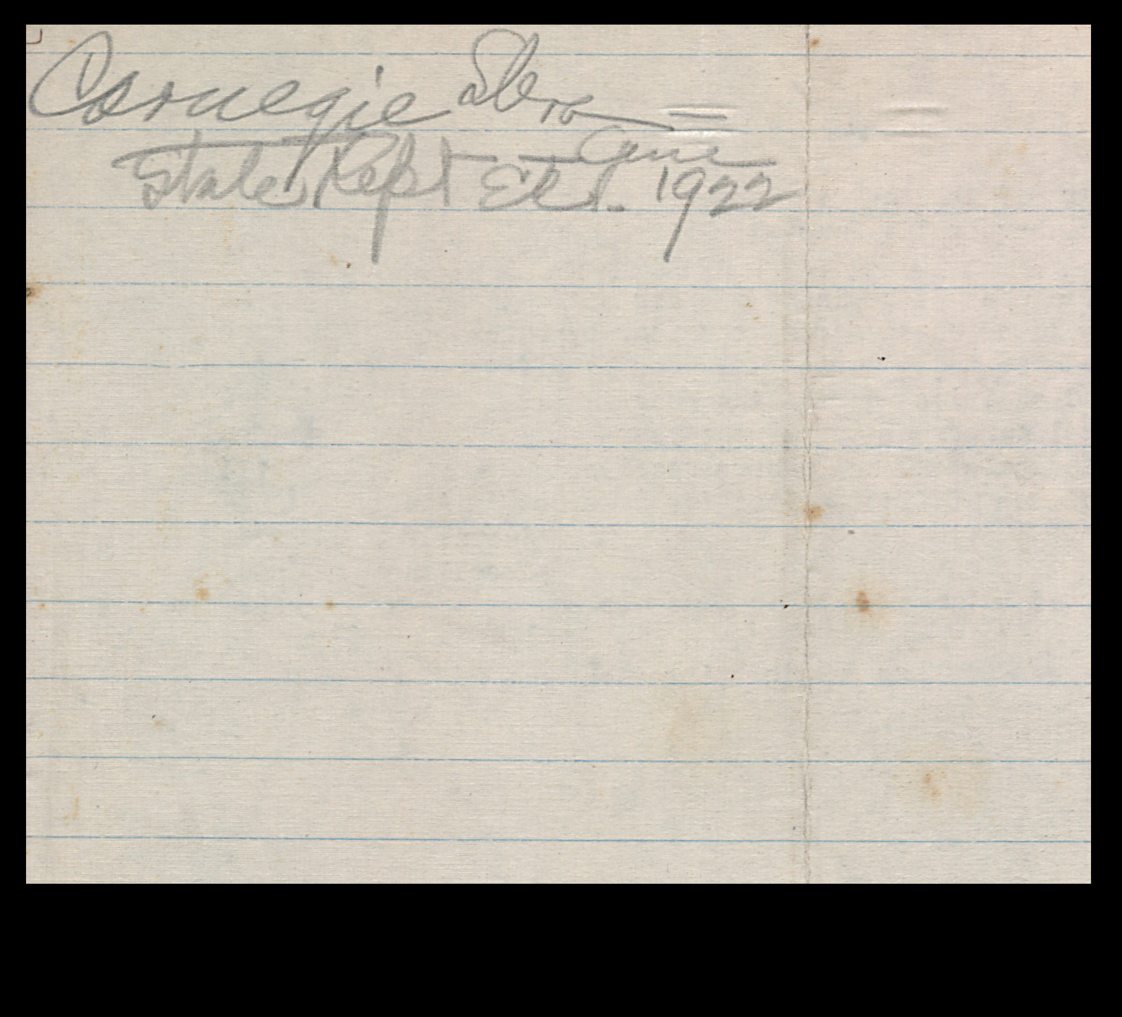 Annual Report of the Carnegie Library Andrews NC [1922]