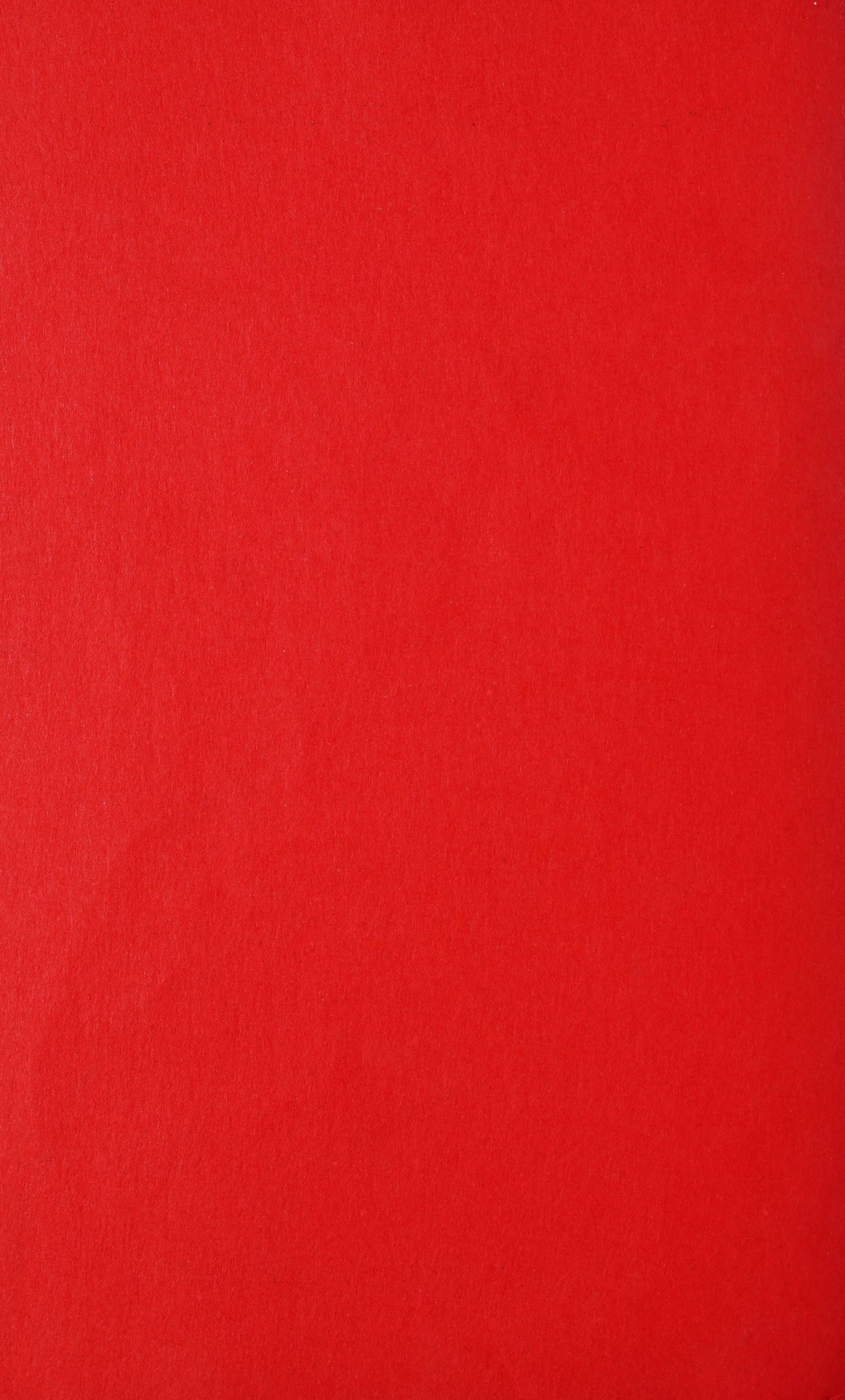 Report to The Board of Directors of The Colored Orphanage of North