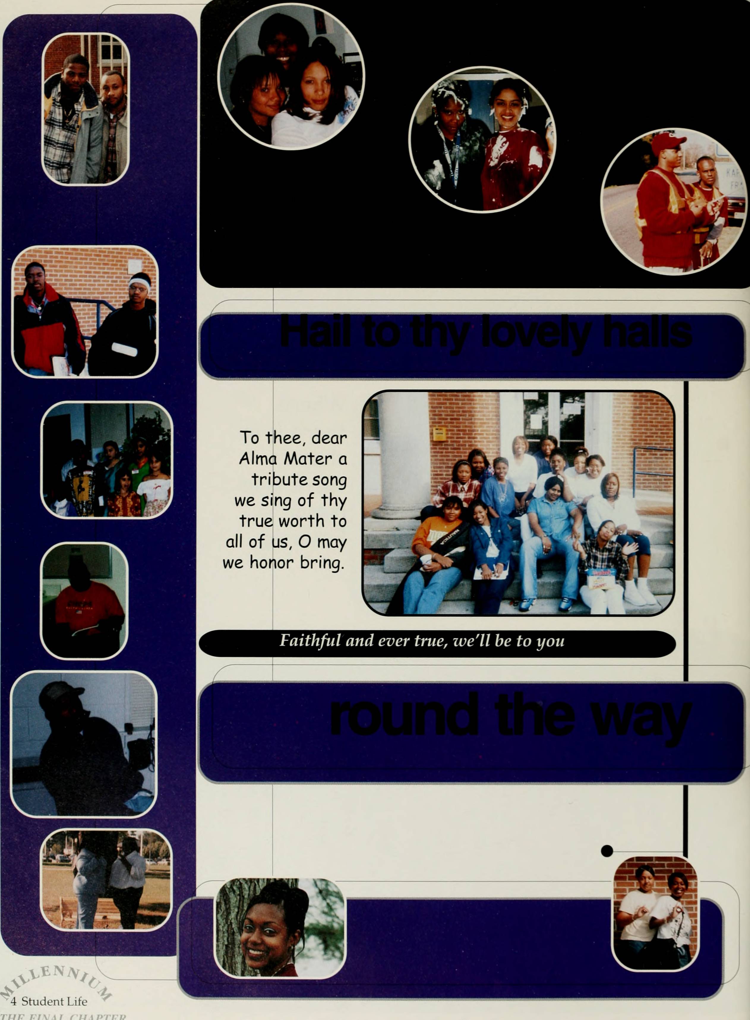The Viking 2000 