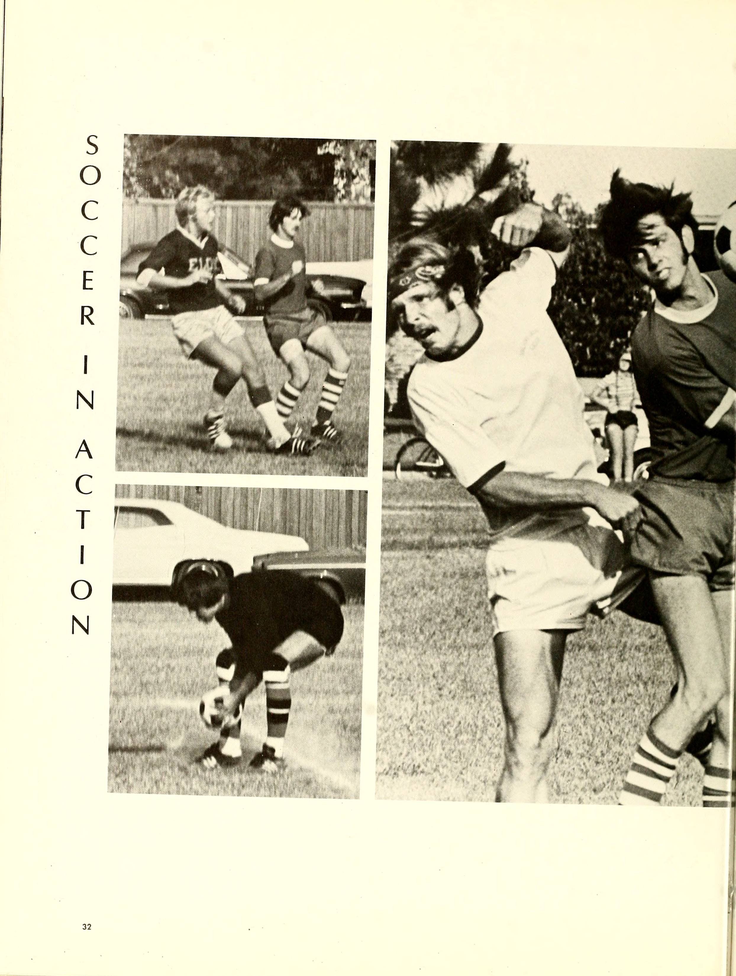 The Pine Knot [1974]