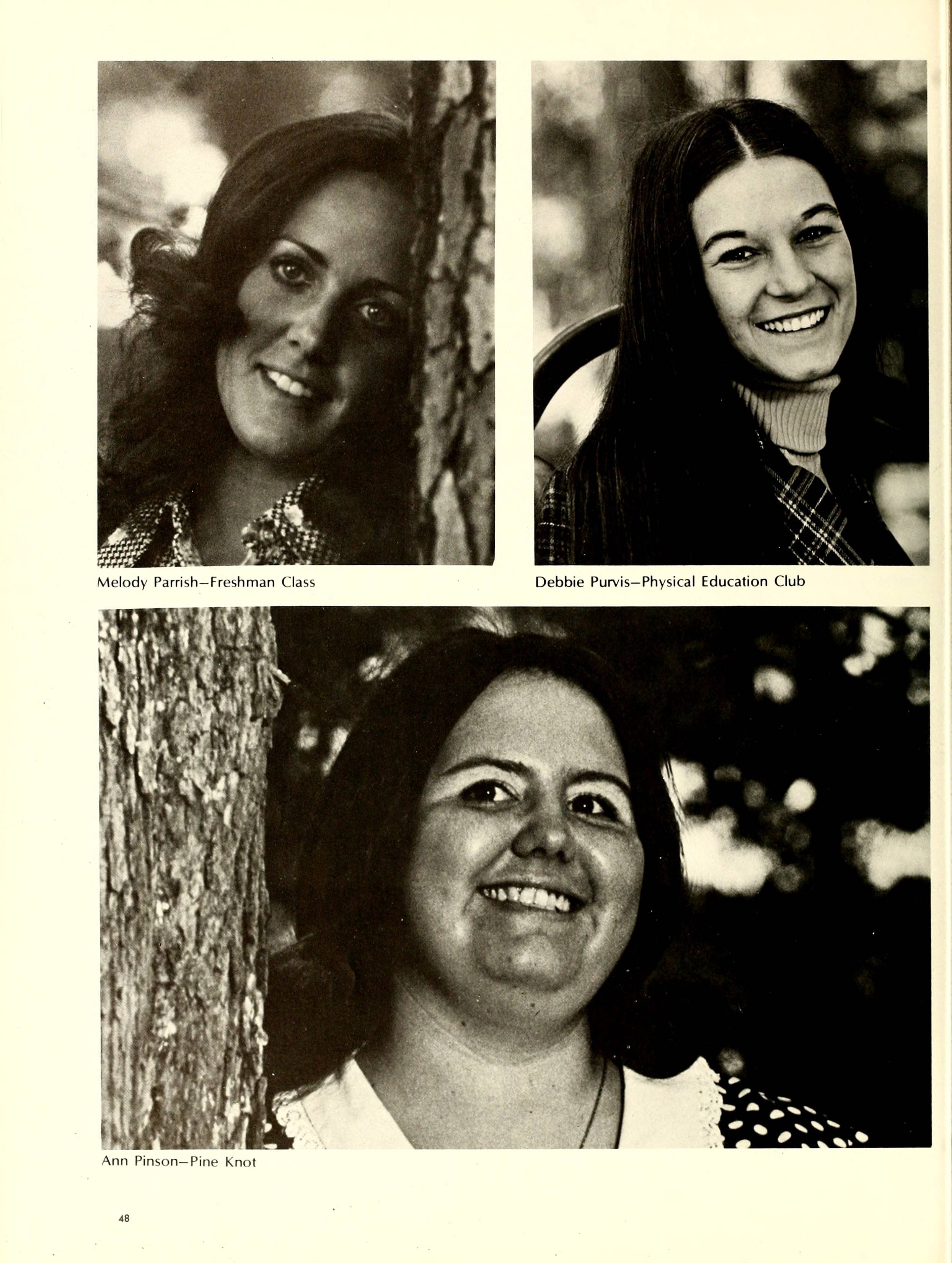 The Pine Knot [1974]