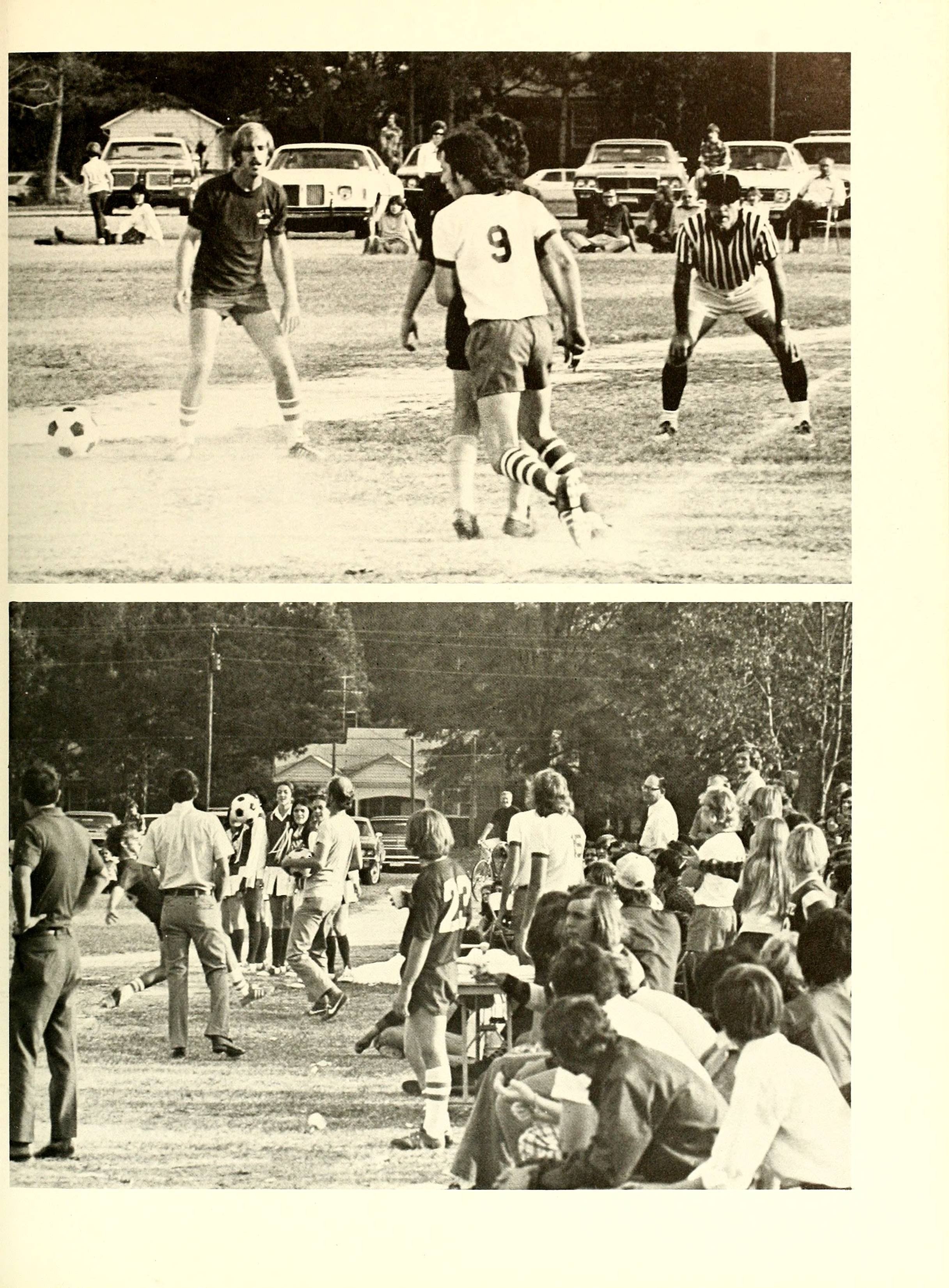 The Pine Knot [1974]