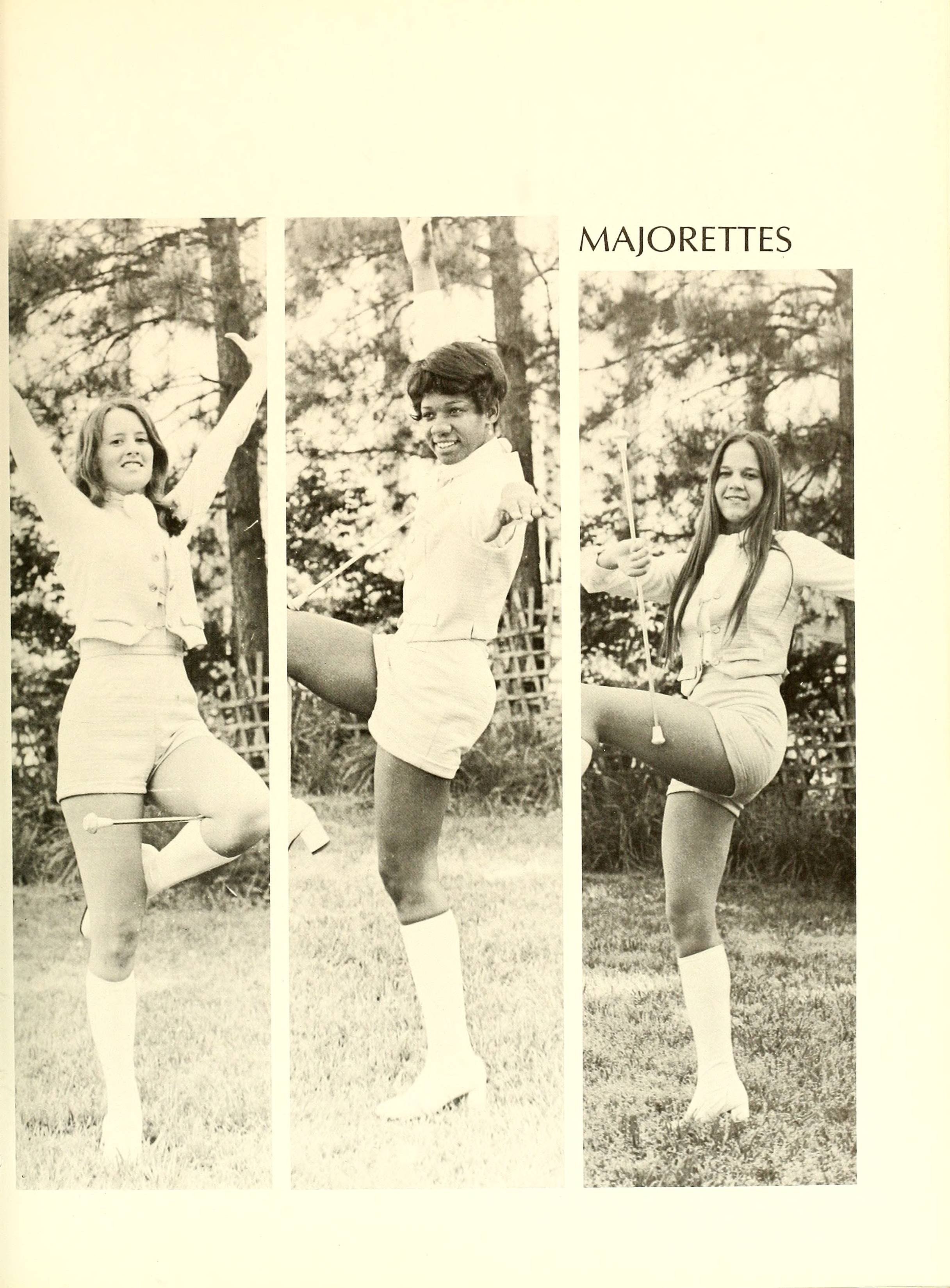 The Pine Knot [1974]