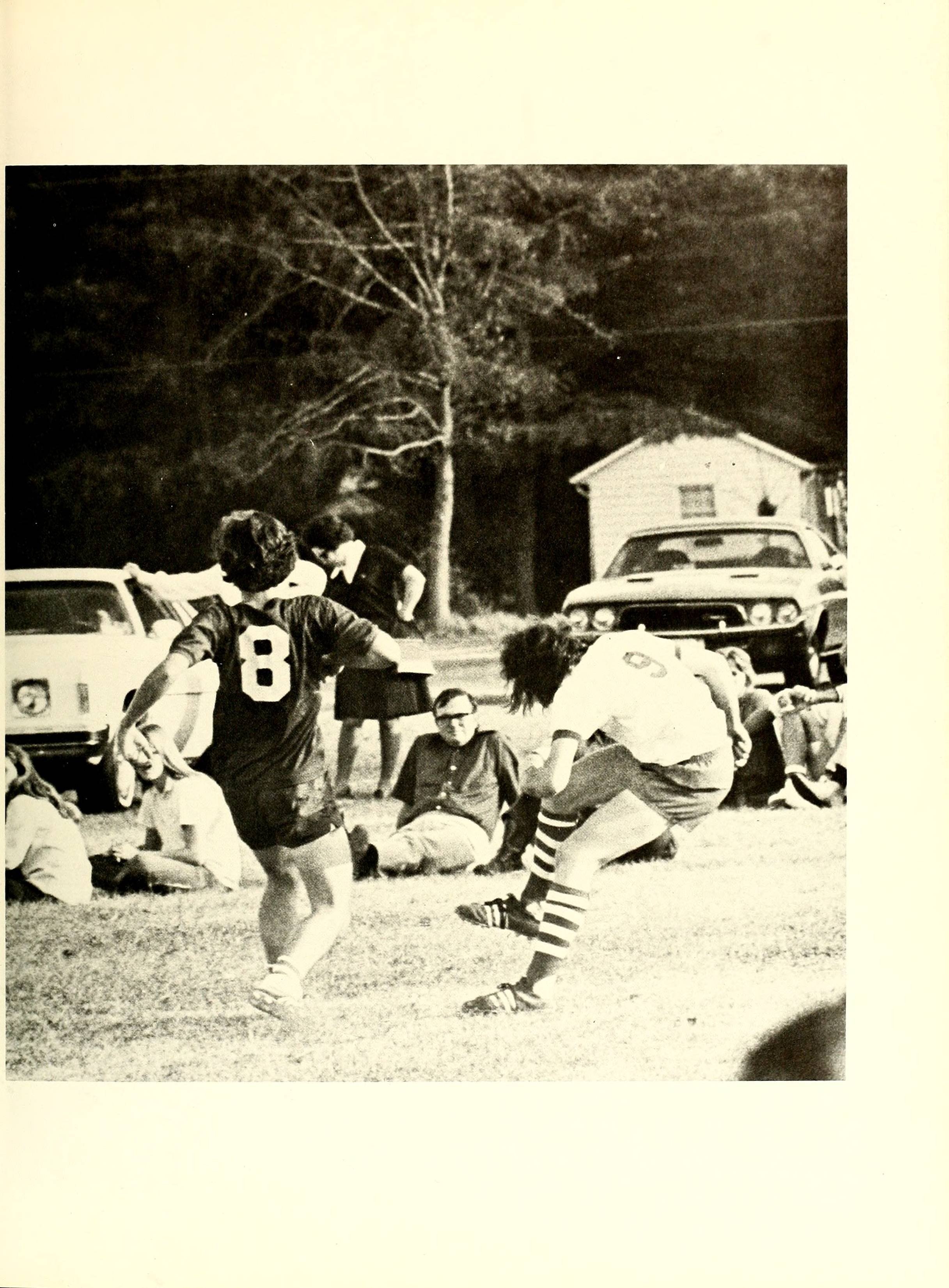 The Pine Knot [1974]