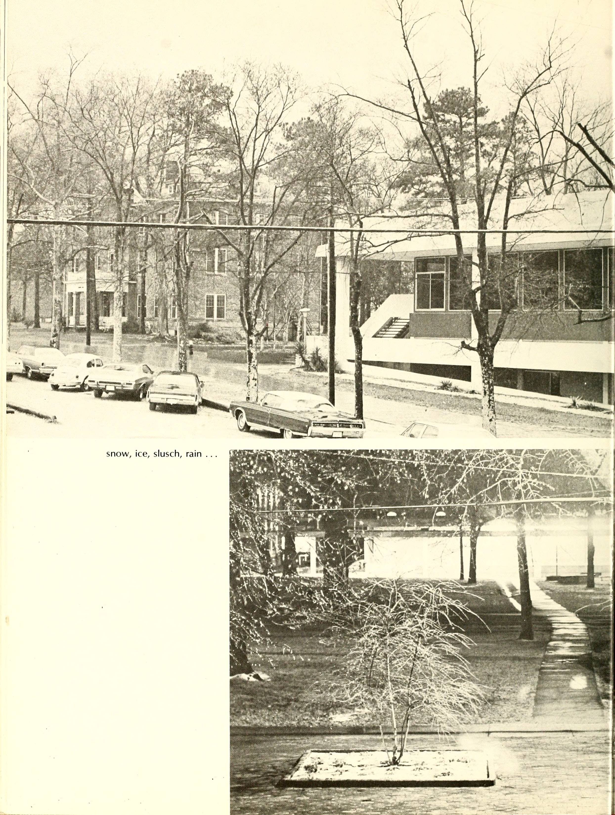 The Pine Knot [1974]