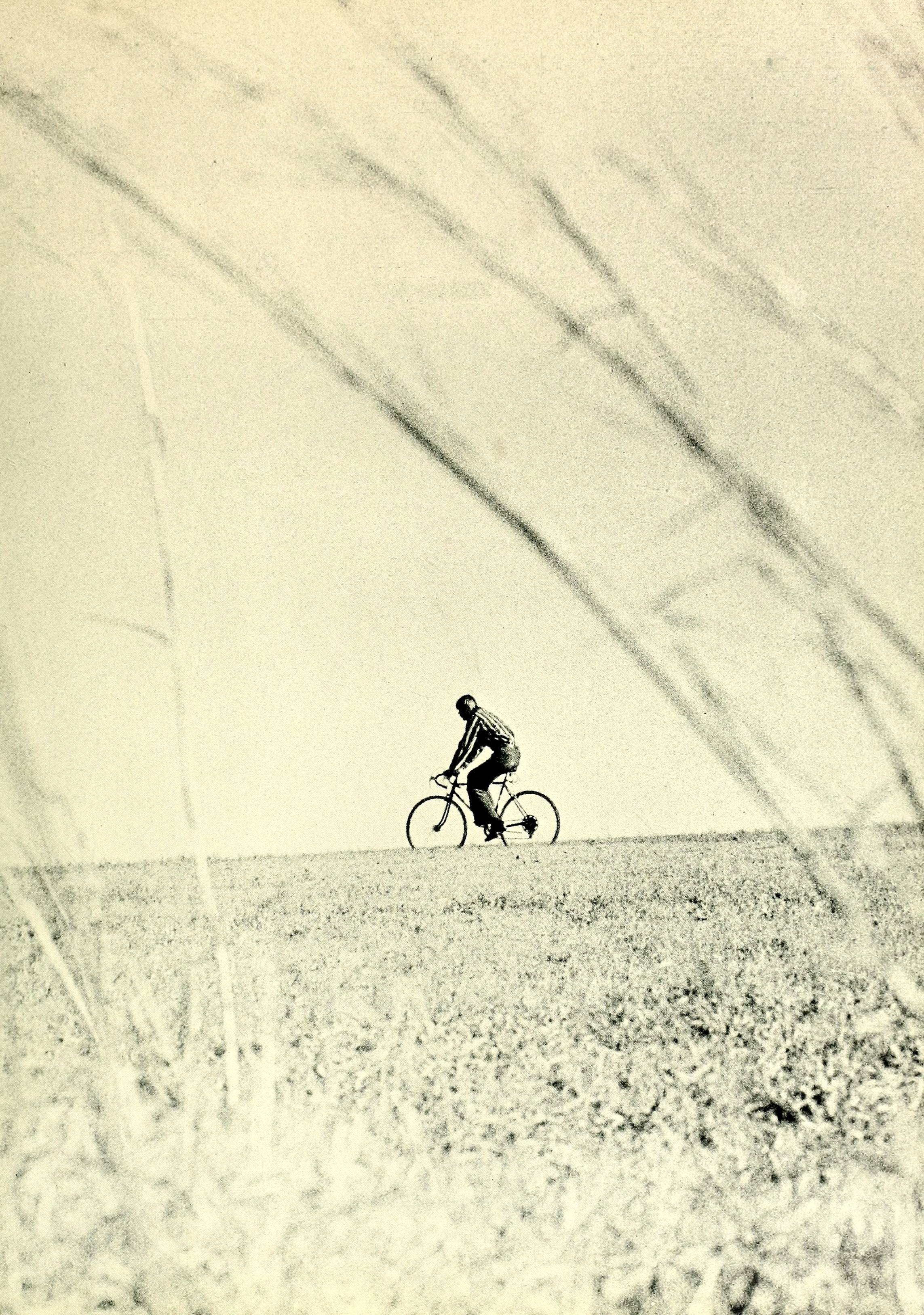 The Pine Knot [1972]