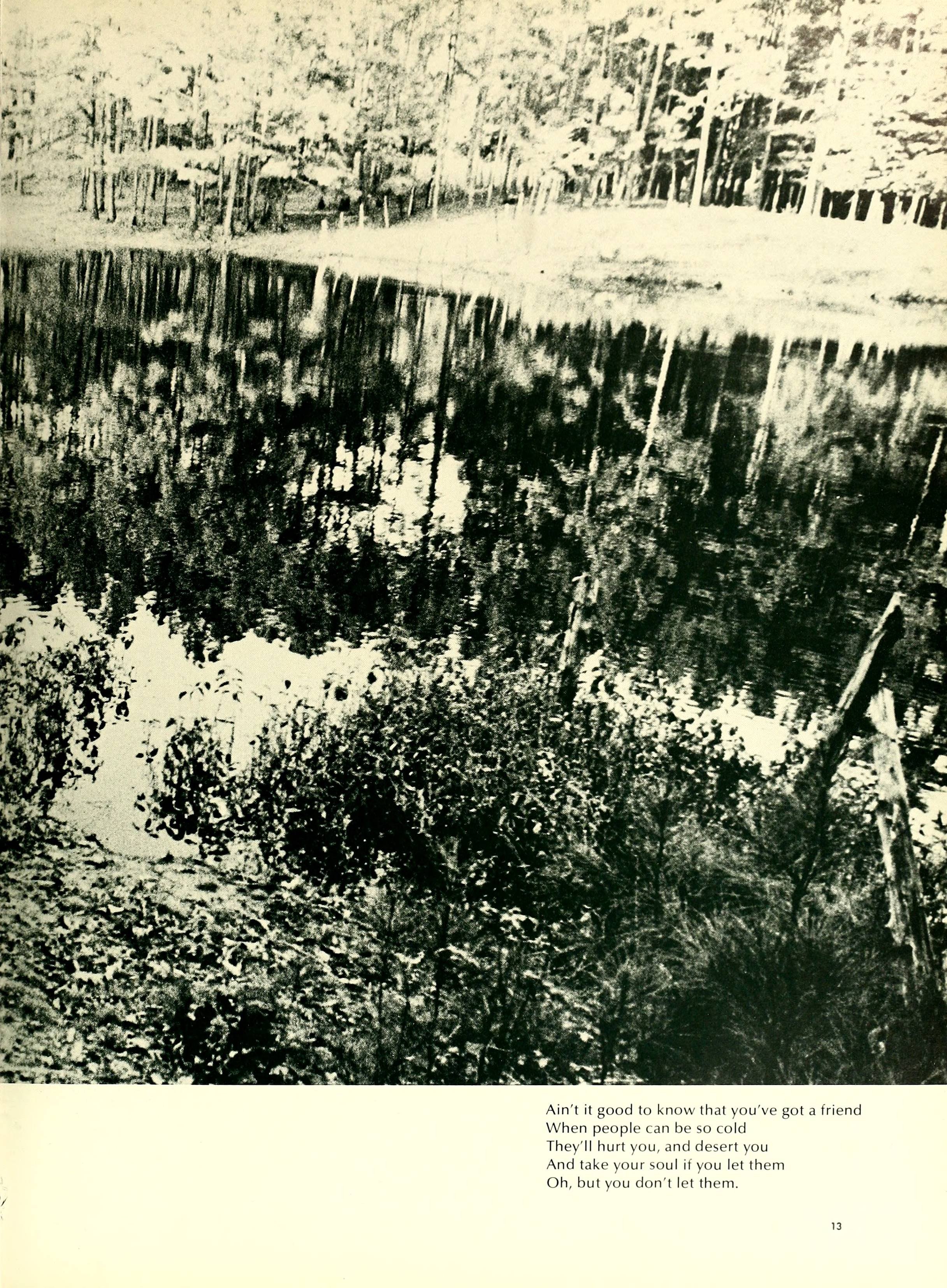 The Pine Knot [1972]