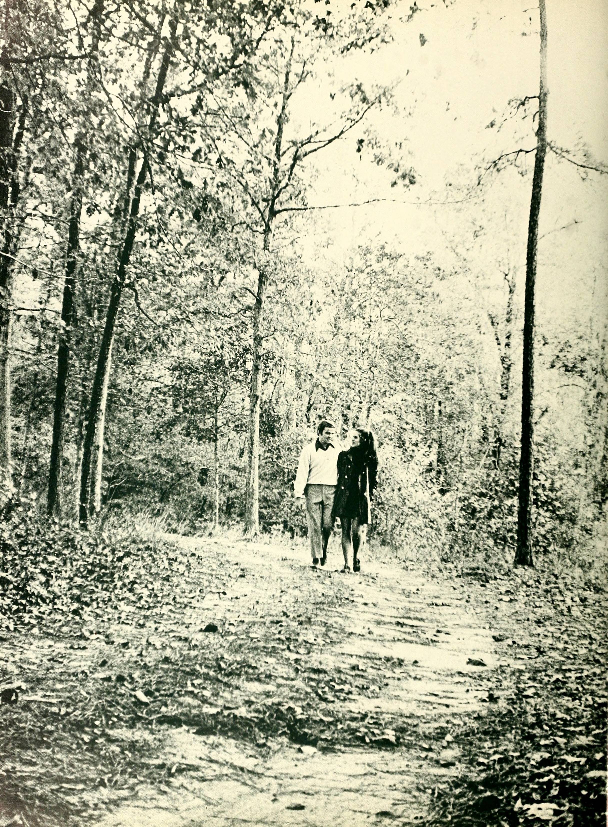 The Pine Knot [1972]