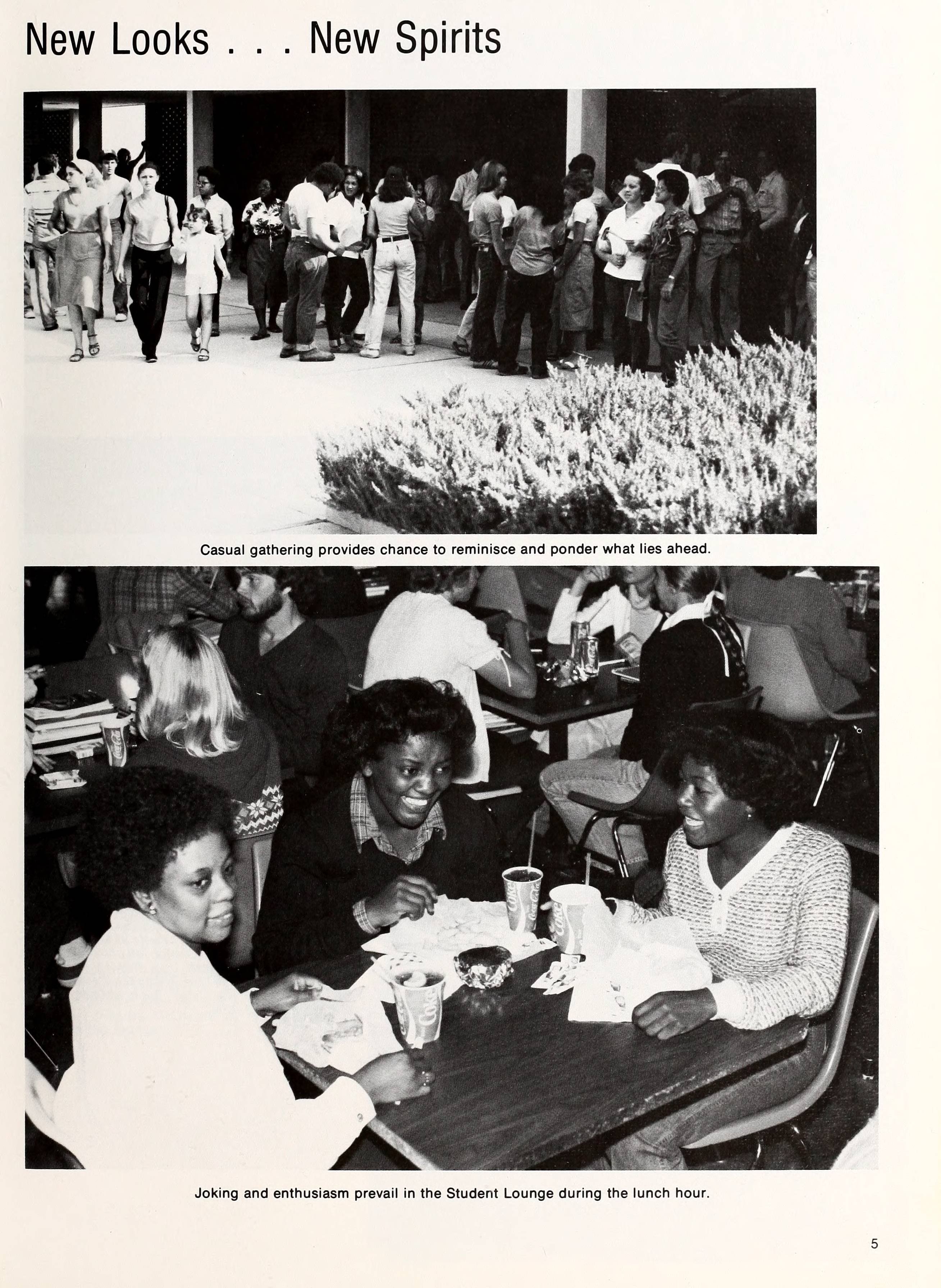 Directions 1981 